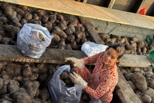 Can Tho: Floating Market, Cacao & Canals with French Guide