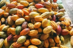 Can Tho: Floating Market, Canals, Garden & Cooking Class