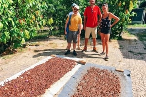 Can Tho: Floating Market, Canals, Garden & Cooking Class