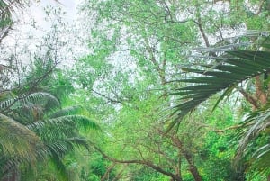 Can Tho: Schwimmender Markt, Kanäle, Garten & Kochkurs