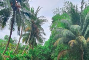 Can Tho: Schwimmender Markt, Kanäle, Garten & Kochkurs