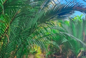 Can Tho: Schwimmender Markt, Kanäle, Garten & Kochkurs