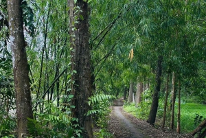 Can Tho: Floating Market, Canals, Nature Reserve & Forest