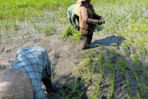 Can Tho: Floating Market, Canals, Nature Reserve & Forest