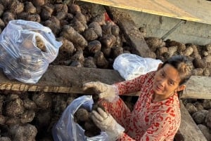 Can Tho: Floating Market, Canals, Nature Reserve & Forest