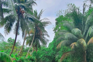 Can Tho: Floating Market & Mekong's Legacy( Max 6 Pax)