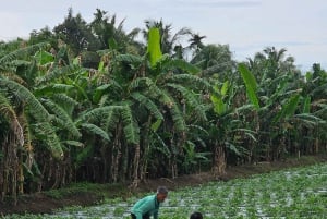 Can Tho: Mercado Flutuante e o Legado do Mekong (Max 6 Pax)