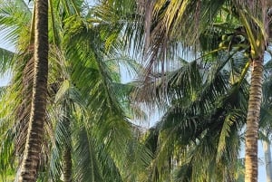 Can Tho: Mercado Flutuante e o Legado do Mekong (Max 6 Pax)