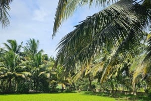 Can Tho: Mercado Flutuante e o Legado do Mekong (Max 6 Pax)