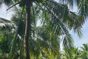 Can Tho: Mercado Flutuante e o Legado do Mekong (Max 6 Pax)