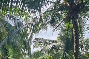 Can Tho: Mercado Flutuante e o Legado do Mekong (Max 6 Pax)