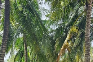 Can Tho: Mercado Flutuante e o Legado do Mekong (Max 6 Pax)