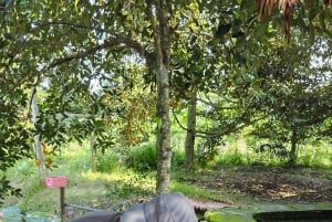 Can Tho: Mercado Flutuante e o Legado do Mekong (Max 6 Pax)