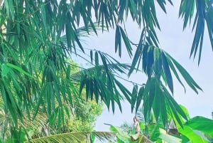 Can Tho: Mercado Flutuante e o Legado do Mekong (Max 6 Pax)