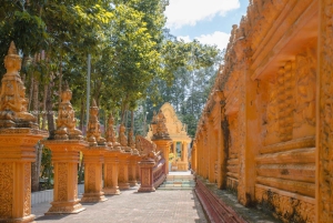 Cần Thơ: boottocht op de Hau-rivier met pagodebezoek en zegen