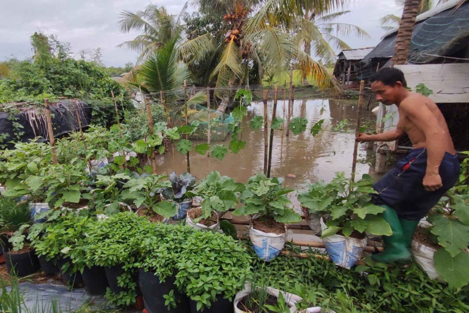 Can Tho: Lai Vung Farm Experience with local