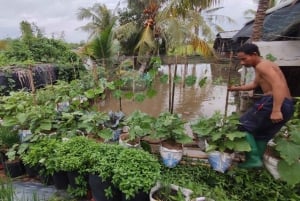 Can Tho: Lai Vung Farm Experience with local