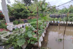 Can Tho: Lai Vung Farm Experience with local