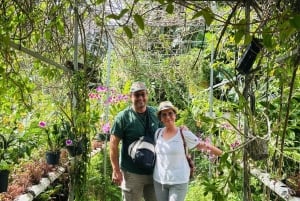 Can Tho: Lai Vung Farm Experience with local