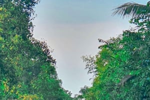Can Tho: Excursão pelas maravilhas selvagens do Mekong para amantes da natureza