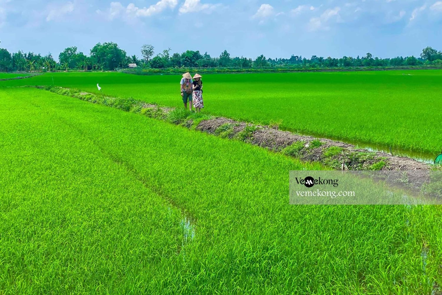 カントールンゴックホアン自然保護区と森林ツアー