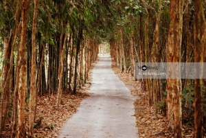 カントールンゴックホアン自然保護区と森林ツアー
