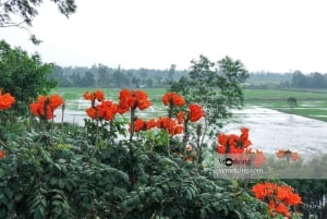 カントールンゴックホアン自然保護区と森林ツアー