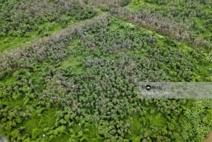 カントールンゴックホアン自然保護区と森林ツアー