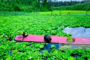 カントールンゴックホアン自然保護区と森林ツアー