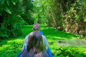 カントールンゴックホアン自然保護区と森林ツアー