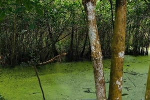 Can Tho: Rezerwat przyrody Lung Ngoc Hoang i ukryte lasy
