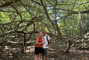 Can Tho: Rezerwat przyrody Lung Ngoc Hoang i ukryte lasy