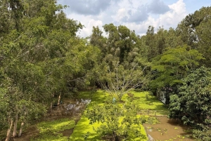 Can Tho: Lung Ngoc Hoangin luonnonsuojelualue ja salaiset metsät