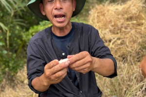 Can Tho: Lung Ngoc Hoangin luonnonsuojelualue ja salaiset metsät