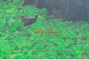 CAN THO: Natuur- en cultuurervaring in Lung Ngoc Hoang