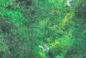 CAN THO: Natuur- en cultuurervaring in Lung Ngoc Hoang