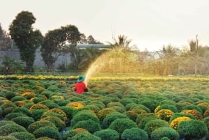 Can Tho: Aldeia das Flores de Sa Dec e Viagem de um Dia a Huynh Thuy Le