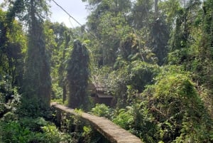 Can Tho: Sadec Bloemendorp & Bostour met Lunch