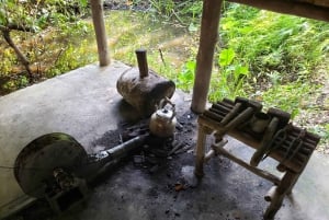 Can Tho: Sadec Bloemendorp & Bostour met Lunch