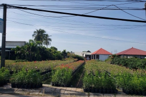 Can Tho: Sadec Bloemendorp & Bostour met Lunch