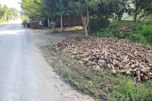 Can Tho: Sadec Bloemendorp & Bostour met Lunch