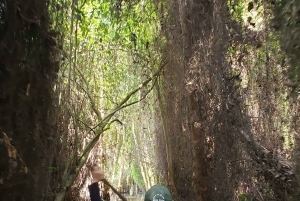 Can Tho: Sadec Bloemendorp & Bostour met Lunch