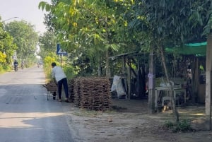 Can Tho: Sadec Bloemendorp & Bostour met Lunch