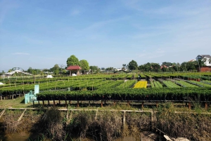 Can Tho: Sadec Bloemendorp & Bostour met Lunch