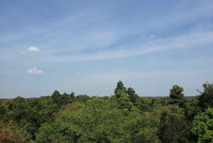 Can Tho: Sadec Bloemendorp & Bostour met Lunch