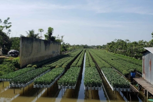 Can Tho: Sadec Bloemendorp & Bostour met Lunch