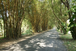 Can Tho: Sadec Bloemendorp & Bostour met Lunch