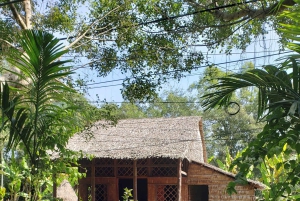 Can Tho: Sadec Bloemendorp & Bostour met Lunch