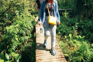 Can Tho: Sadec Bloemendorp & Bostour met Lunch