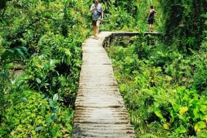 Can Tho: Sadec Bloemendorp & Bostour met Lunch